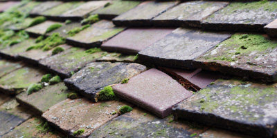 Kirkby roof repair costs